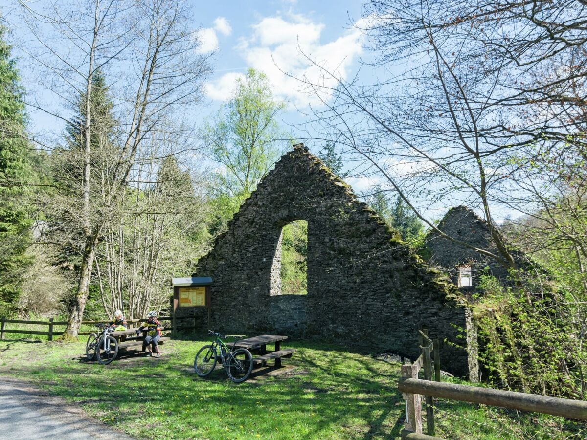 Ferienhaus Neufchâteau Umgebung 33