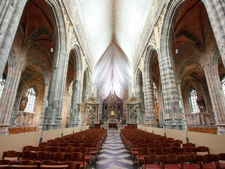 Vakantiehuisje Saint-Hubert Omgeving 29