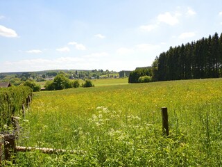 Vakantiehuisje Saint-Hubert Buitenaudio-opname 12