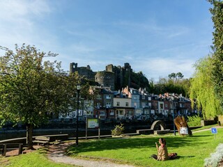 Maison de vacances Tellin Environnement 29