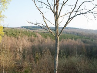 Casa de vacaciones Tellin Grabación al aire libre 10