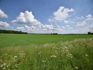 Vakantiehuis Paliseul Omgeving 34