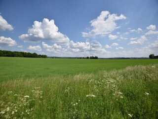 Ferienhaus Paliseul Umgebung 34