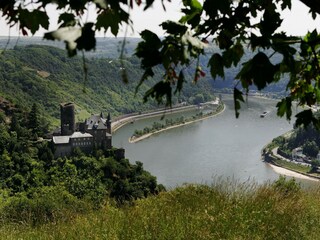 Vakantiehuis Libin Omgeving 30