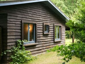 Modern chalet in de buurt van het bos in Humain - Rochefort - image1