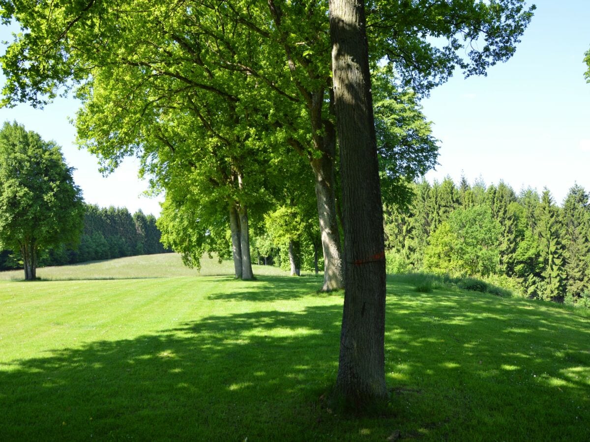 Chalet Rochefort Außenaufnahme 6