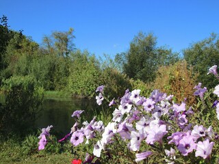 Boerderij Daverdisse Omgeving 28