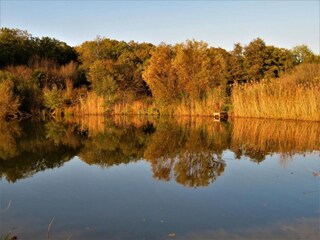 Type de propriété : Ferme Daverdisse Environnement 34