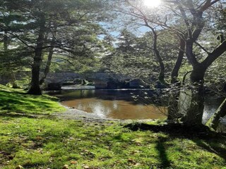 Fattoria Daverdisse Ambiente 28