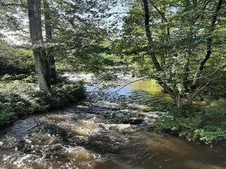 Farmhouse Daverdisse Environment 31