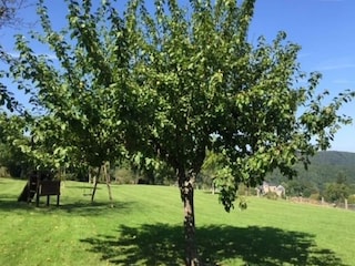 Villa Daverdisse Außenaufnahme 5