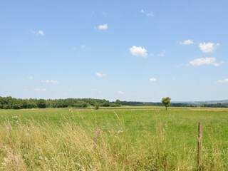 Ferienhaus Durbuy Umgebung 34