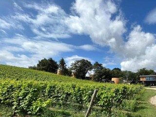Maison de vacances Durbuy Environnement 27