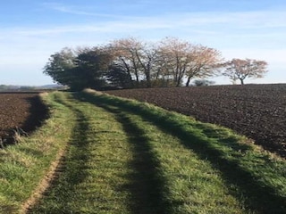 Holiday house Durbuy Environment 31