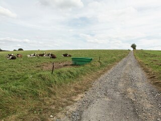 Chalet Somme-Leuze Entorno 29