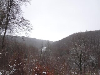 Ferienhaus Durbuy Umgebung 37