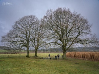 Holiday house Durbuy Environment 32