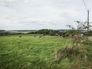 Villa Barvaux-sur-Ourthe Environnement 31