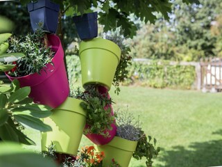 Villa Barvaux-sur-Ourthe Registrazione all'aperto 6