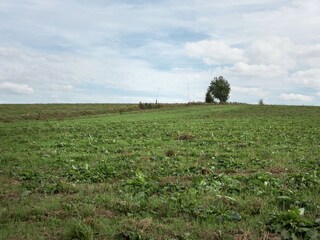 Villa Barvaux-sur-Ourthe Environnement 32