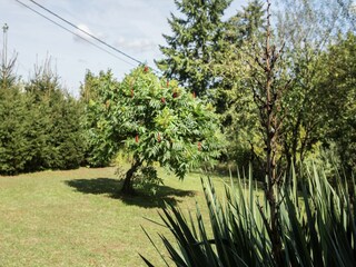 Villa Barvaux-sur-Ourthe Registrazione all'aperto 8