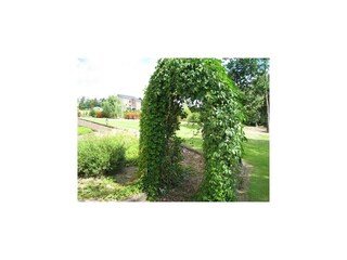 Chalet Somme-Leuze Registrazione all'aperto 3