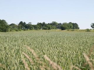 Chalet Bomal Ambiente 27