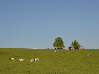 Holiday house Nassogne Environment 37