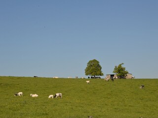 Vakantiehuis Nassogne Omgeving 37