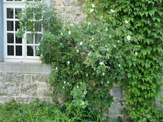 Holiday house Nassogne Outdoor Recording 10