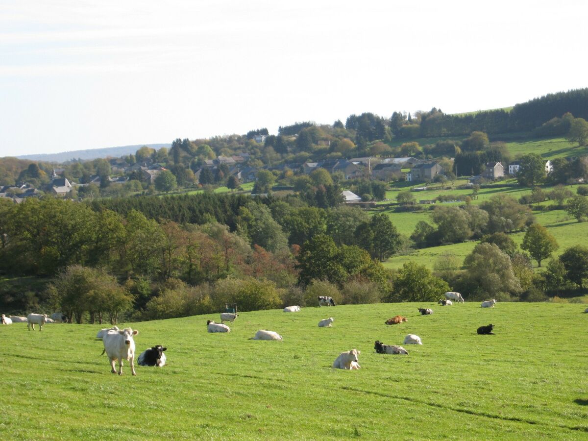 Ferienhaus Nassogne Umgebung 24