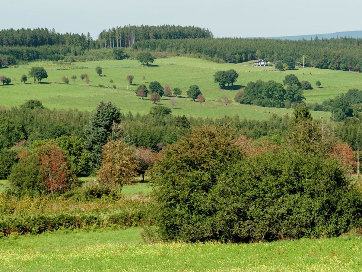 Bauernhof Lierneux Umgebung 20