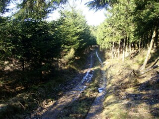 Villa Manhay Environnement 33