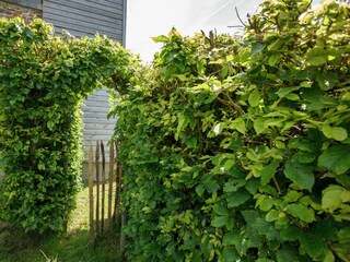 Vakantiehuisje Lierneux Buitenaudio-opname 4