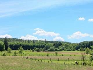 Casa vacanze Lierneux Registrazione all'aperto 6