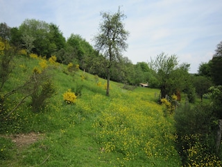 Cottage Manhay Außenaufnahme 9