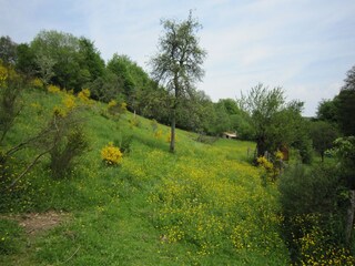 Maison de vacances Manhay Enregistrement extérieur 9