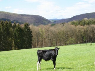 Villa Manhay Ambiente 37