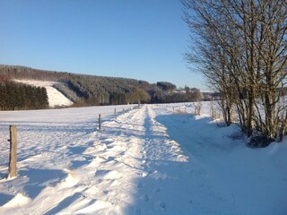 Vakantiehuis Manhay Omgeving 35