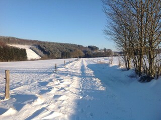 Casa per le vacanze Manhay Ambiente 35