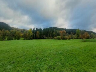 Type de propriété : Ferme Tenneville Environnement 36
