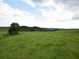 Type de propriété : Ferme Tenneville Environnement 28