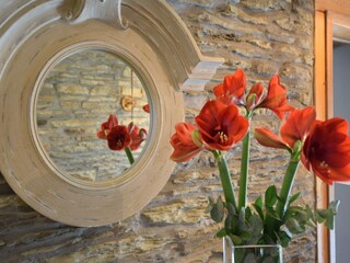 Casa per le vacanze Tenneville  37