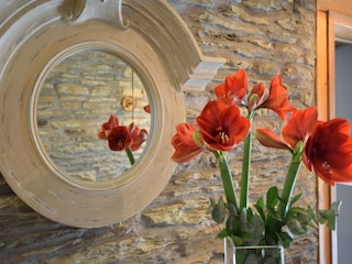 Ferienhaus Tenneville  37