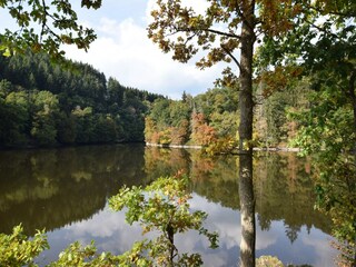 Vakantiehuis Tenneville Omgeving 33