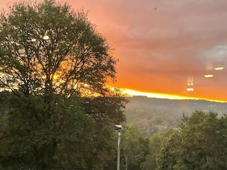 Chalet La Roche-en-Ardenne Environment 25