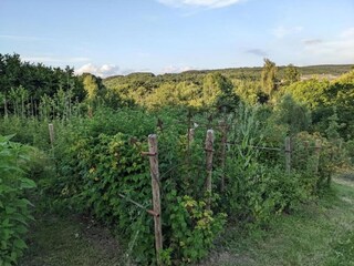 Chalet La Roche-en-Ardenne Omgeving 23