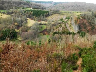 Chalet La Roche-en-Ardenne Omgeving 31