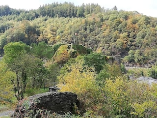 Chalet La Roche-en-Ardenne Umgebung 18