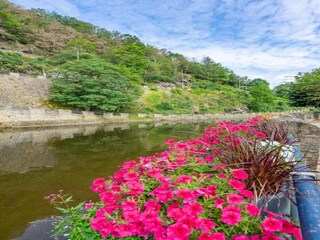 Chalet La Roche-en-Ardenne Environment 24
